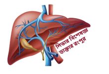 লিভার বিশেষজ্ঞ ডাক্তার রংপুর