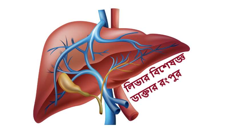 লিভার বিশেষজ্ঞ ডাক্তার রংপুর