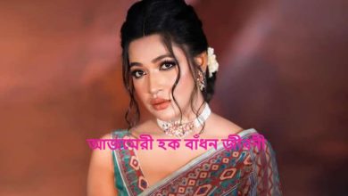 আজমেরী হক বাঁধন জীবনী