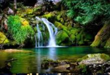 গোল্ডেন নিউ ইয়ার আইফোন ওয়ালপেপার