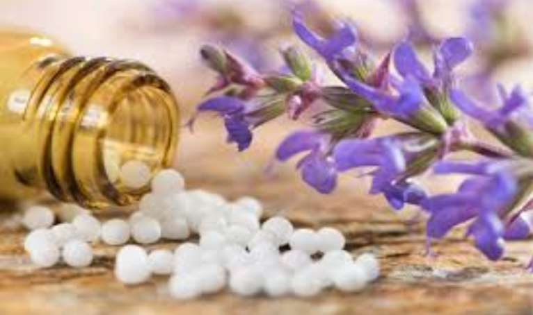 ঢাকা শান্তিনগর হোমিওপ্যাথিক