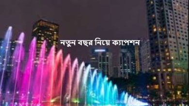নতুন বছর নিয়ে ক্যাপশন