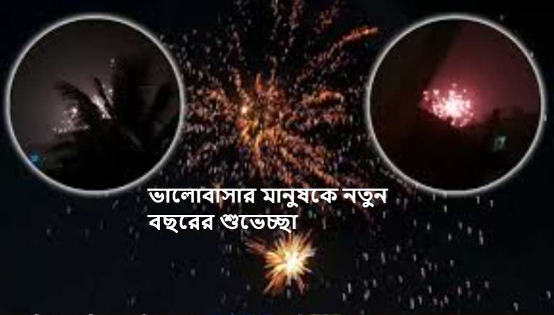 ভালোবাসার মানুষকে নতুন বছরের শুভেচ্ছা