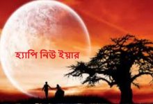 হ্যাপি নিউ ইয়ার