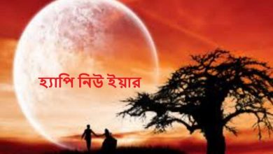 হ্যাপি নিউ ইয়ার
