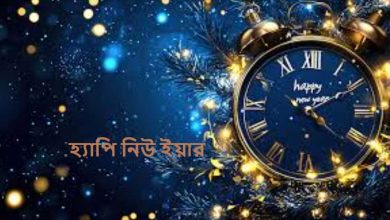 হ্যাপি নিউ ইয়ার