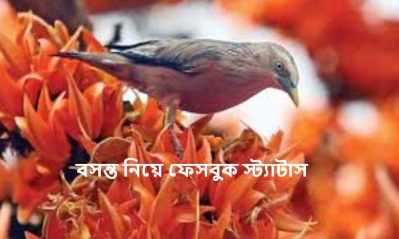 বসন্ত নিয়ে ফেসবুক স্ট্যাটাস
