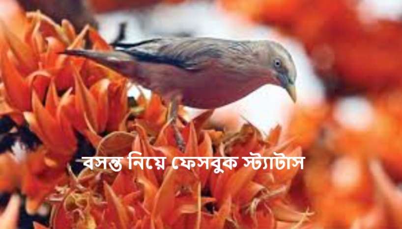 বসন্ত নিয়ে ফেসবুক স্ট্যাটাস