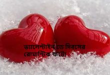 ভ্যালেন্টাইন ডে দিবসের রোমান্টিক ফটো