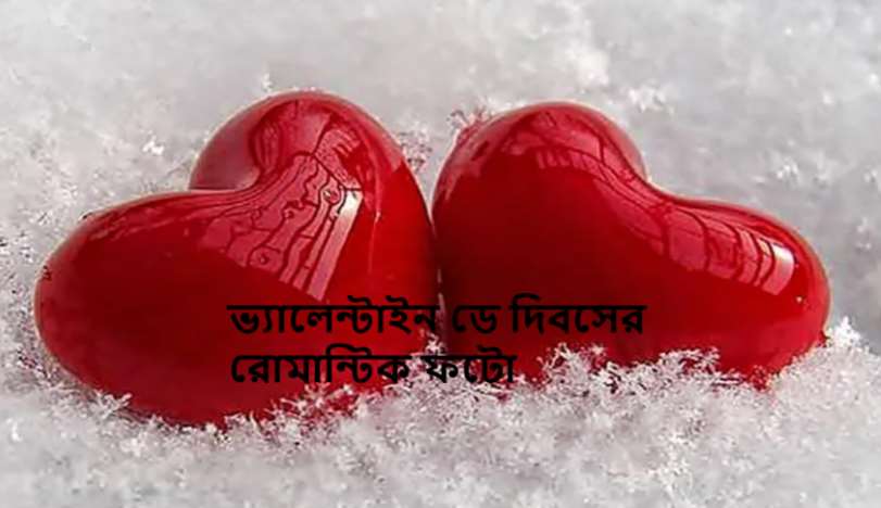 ভ্যালেন্টাইন ডে দিবসের রোমান্টিক ফটো